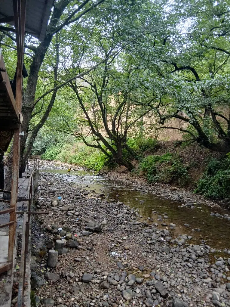 فروش زمین در بهترین موقعیت روستای چارده