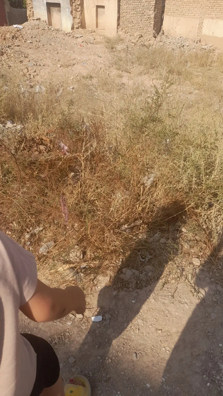 فروش ۳دنگ زمین جوانی جمعیت