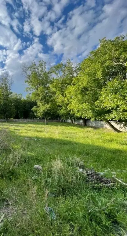 زمین ویلایی سعیداباد