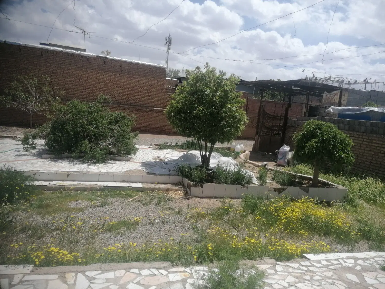 کارگاه اجاره ای