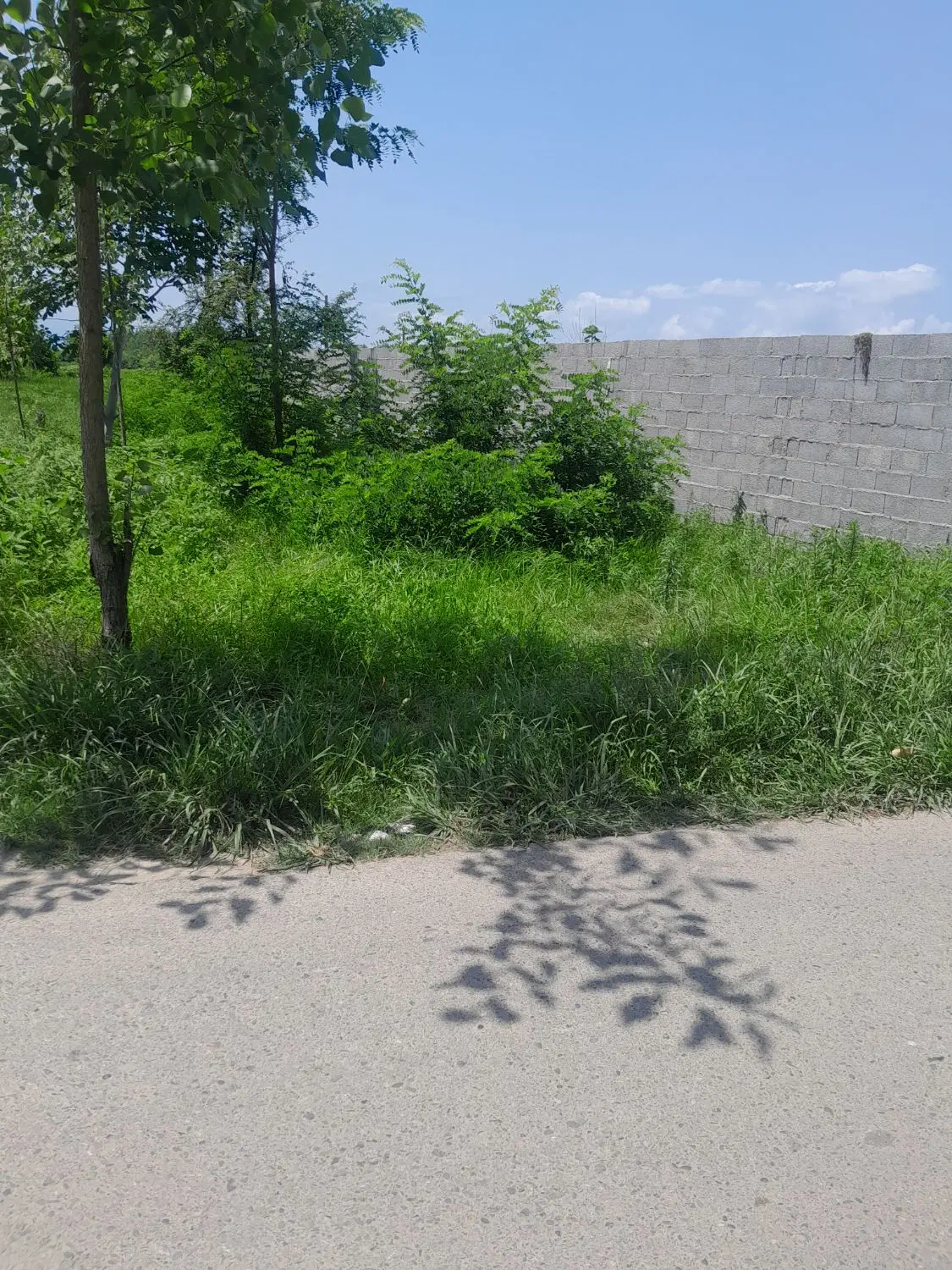 فروش زمین مسکونی برخیابان