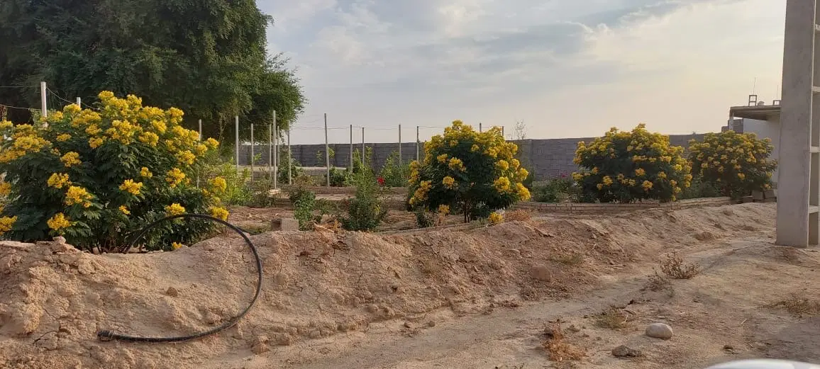 قطعه زمین ۷۵۰ متری درمجموعه‌ای در شهر زیبای شوشتر