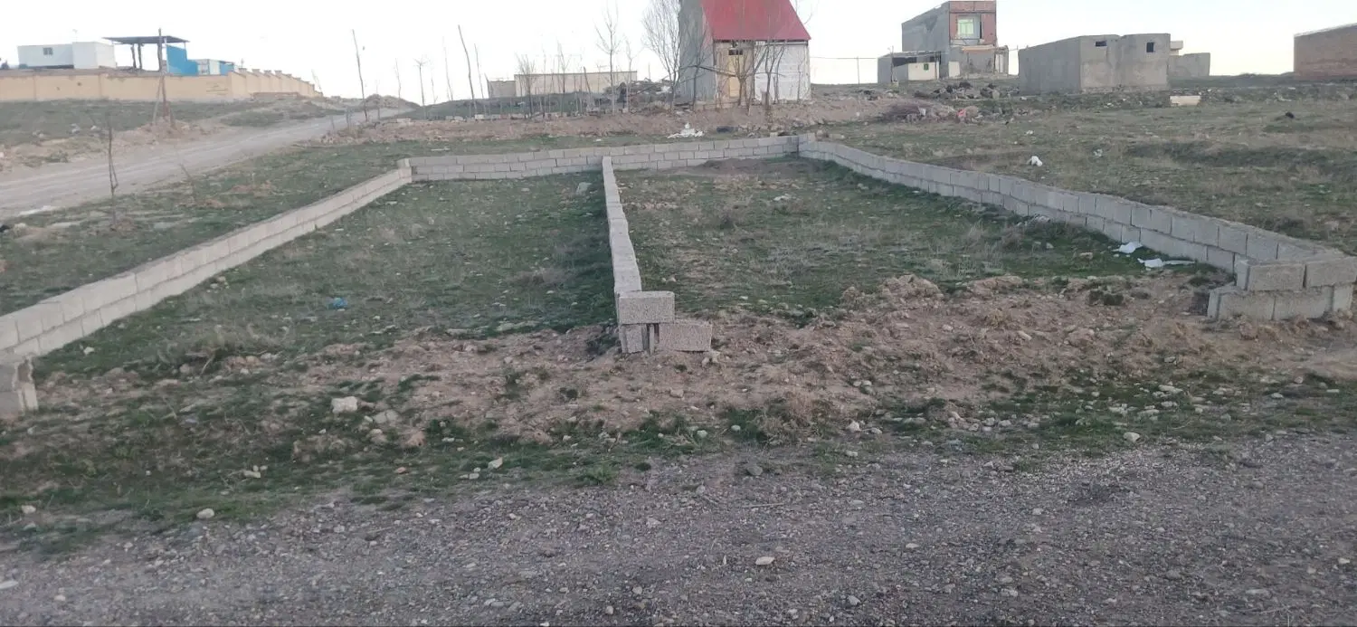 زمین در شام اسبی