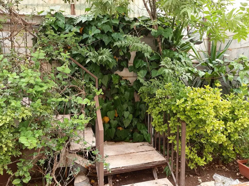 خانه دو طبقه و نیم حیاط دار