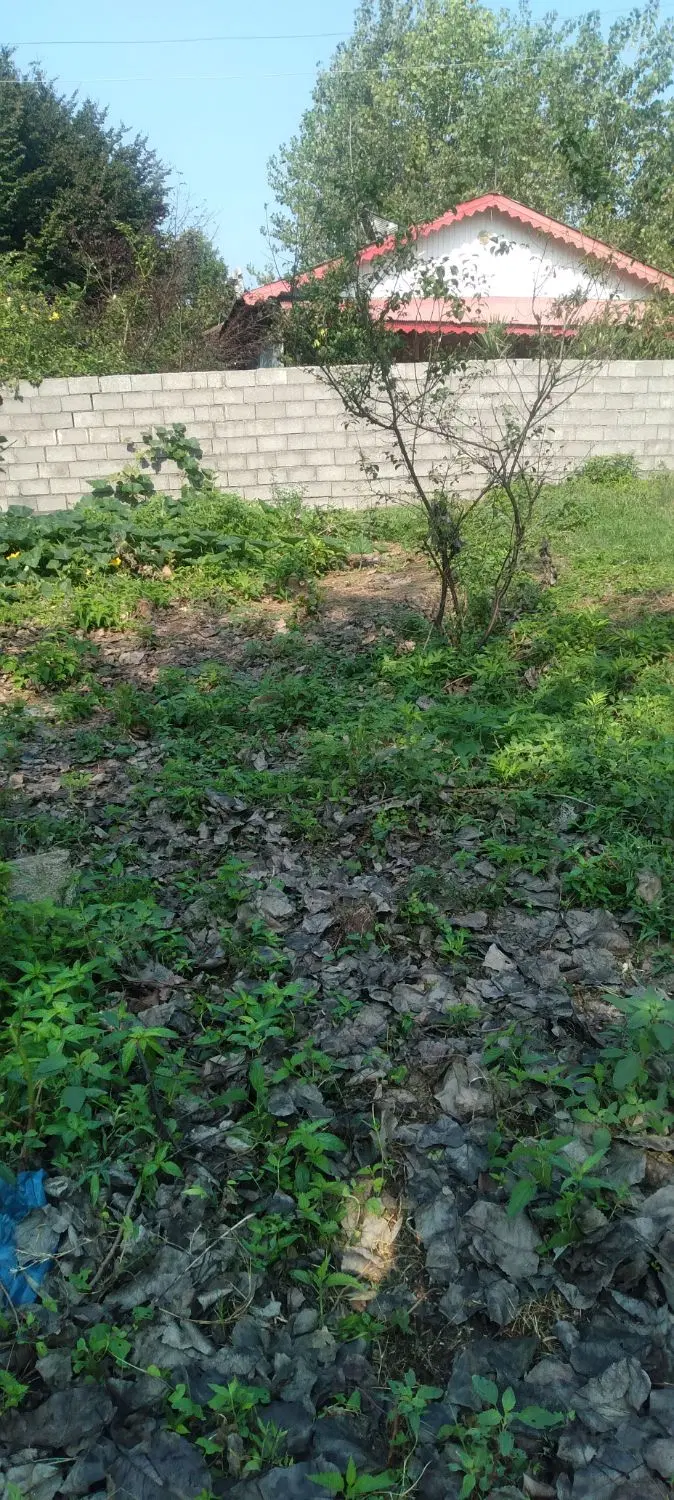 فروش زمین باغی 400متررشت سنگرروستای ویشکاننک