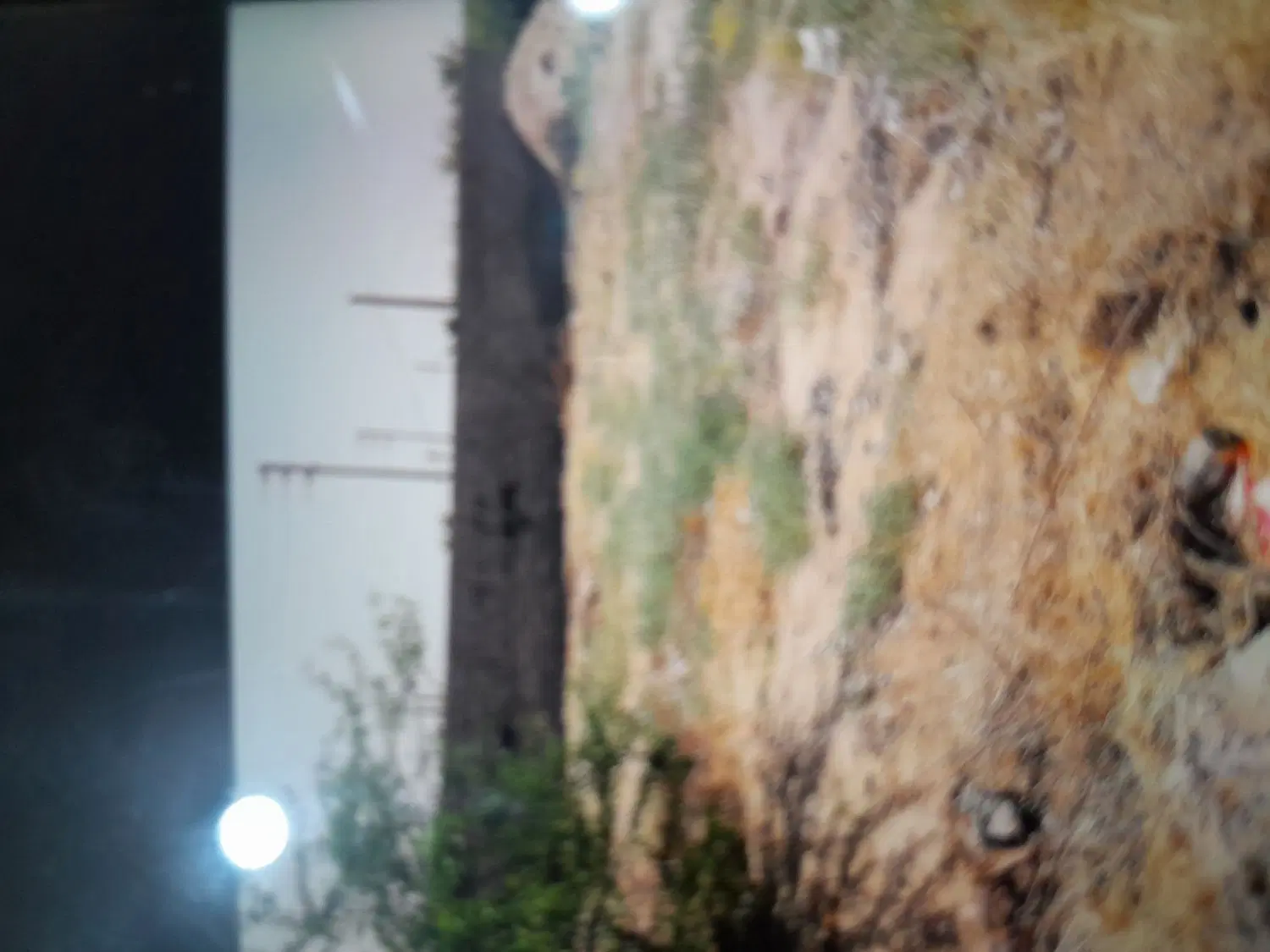 زمین روستای اسیاب