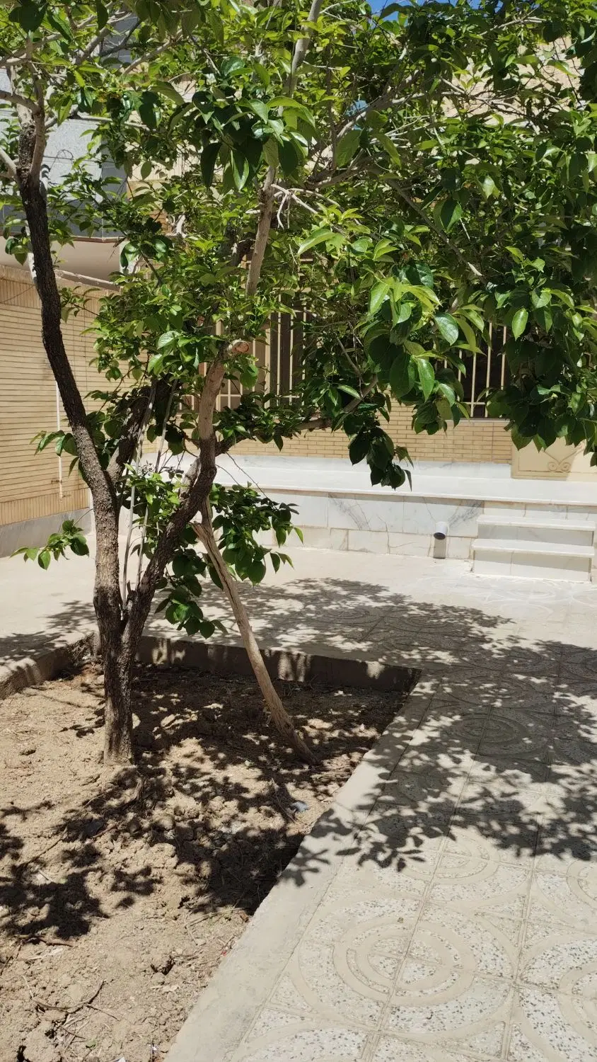 رهن و اجاره تک واحدی صفر طبقه اول در گرگاب