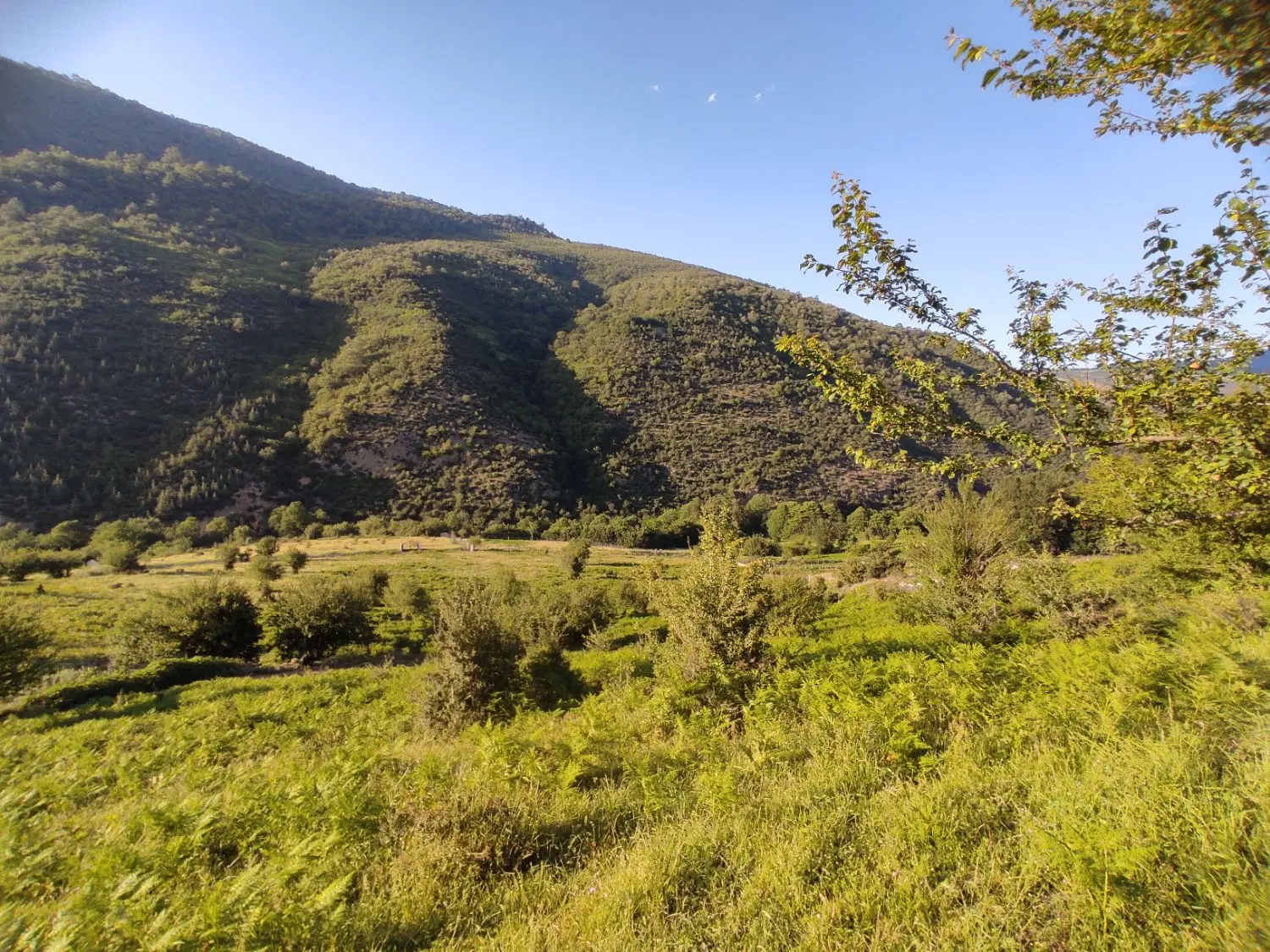 زمین سنگده پل سفید 600متری