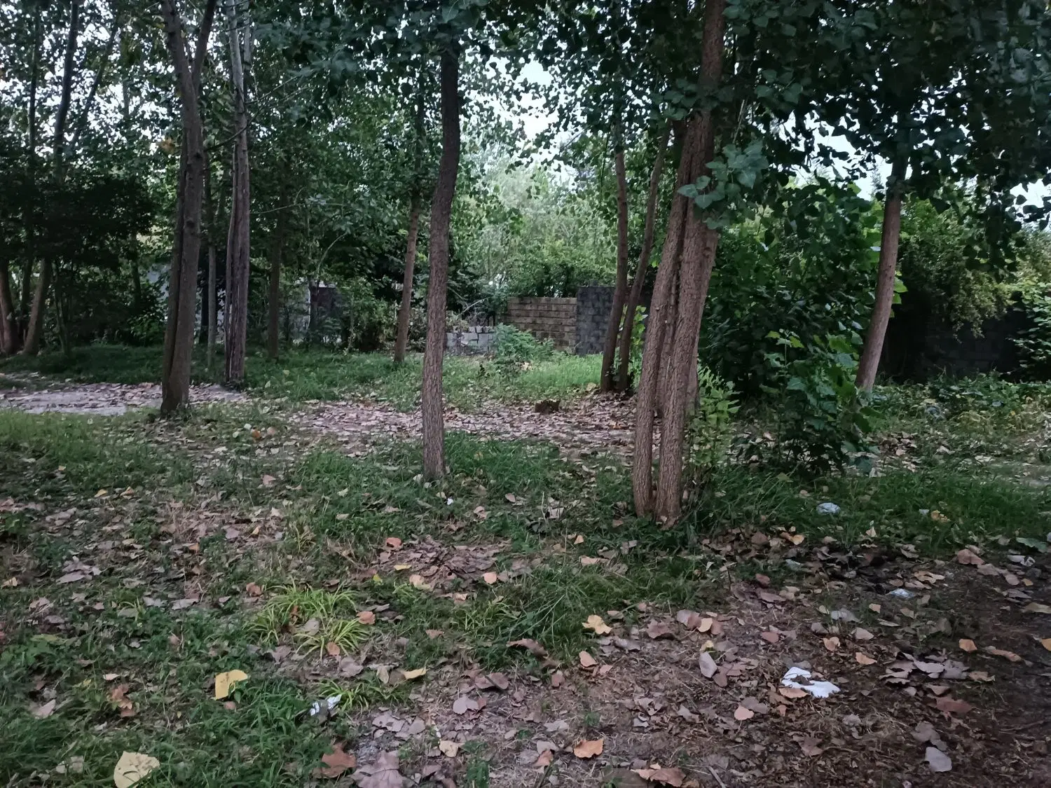 زمین شکاری