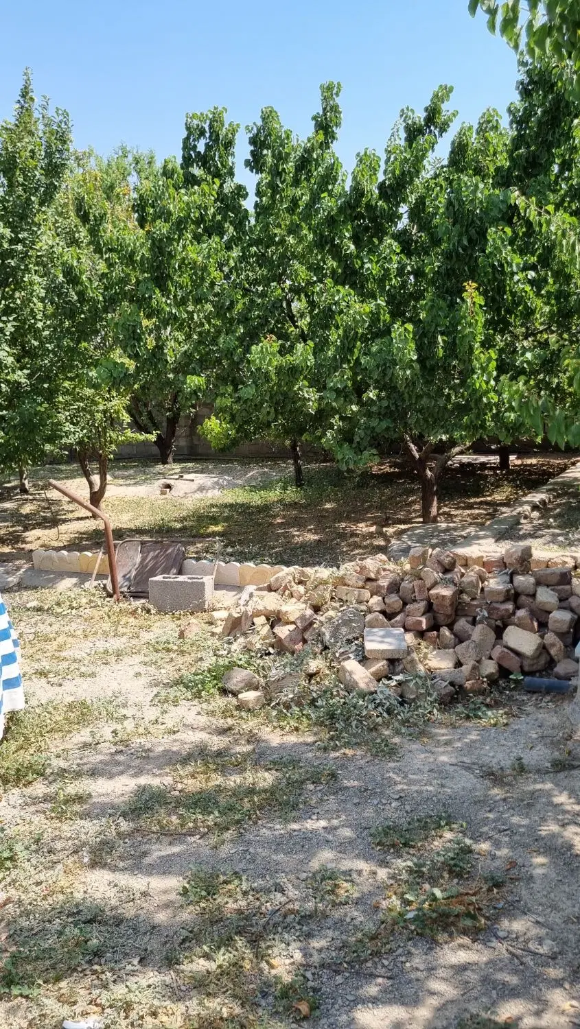باغ ویلا در کنگاور  سلطان آباد