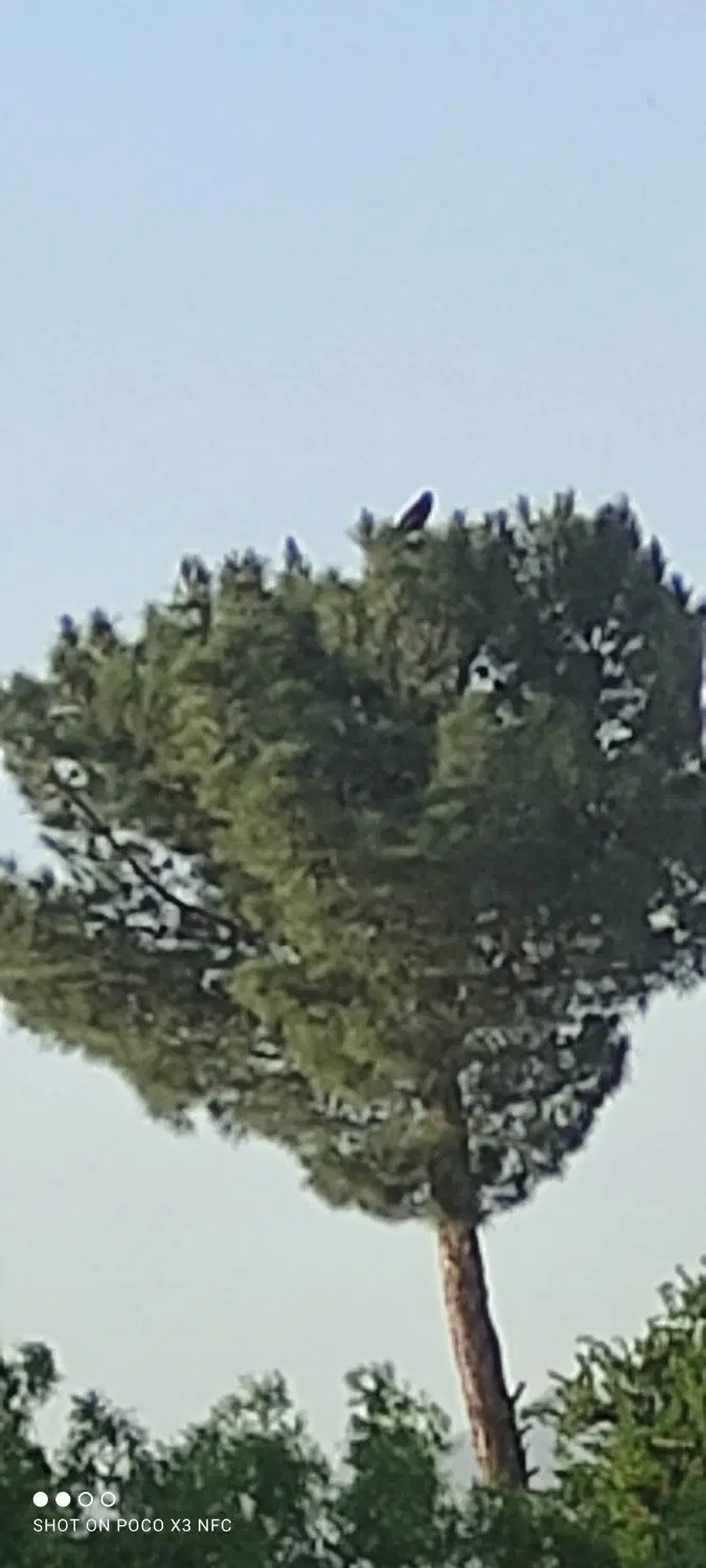 باغ وزمین کشاورزی