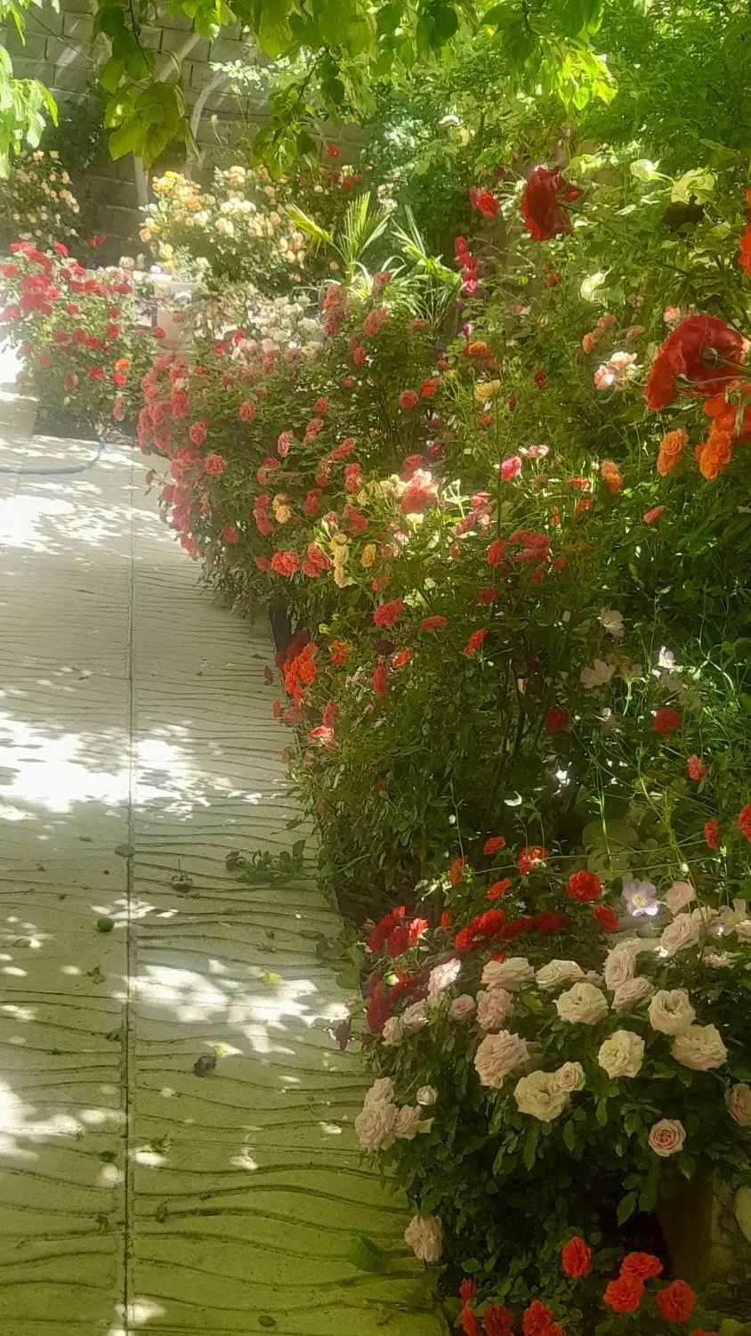 فروش خانه ویلایی در یاسوج روستای نرگاه