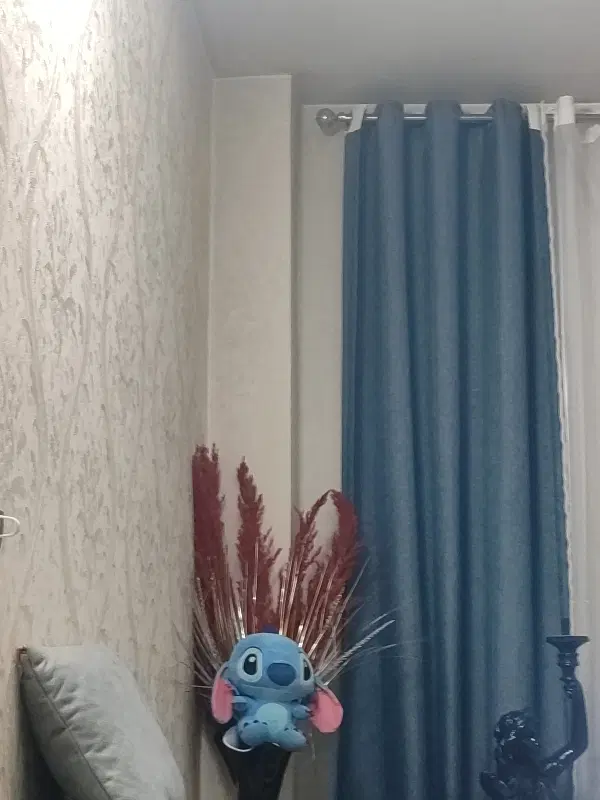 هم خونه