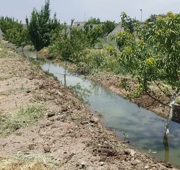 ۴۰۰ متر باغچه پول لازم سهمیه آب و درخت