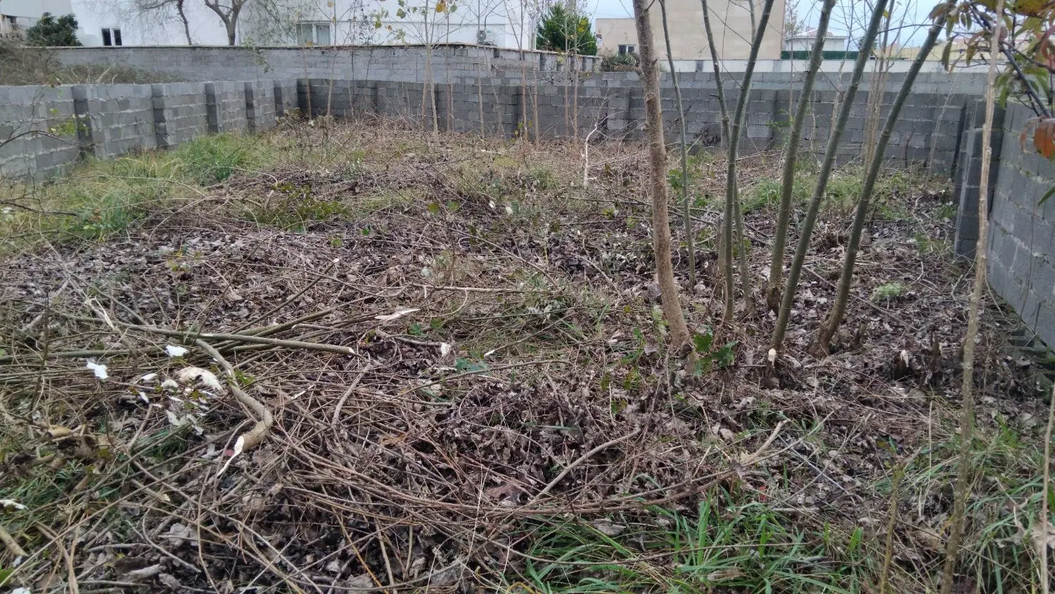 زمین داخل طرح مناسب سرمایه گذاری