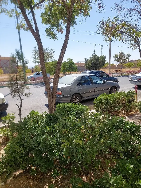 زمین محله ۸ جنوبی