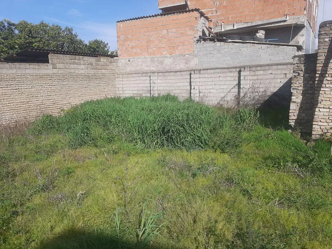 زمین فروشی در شمال