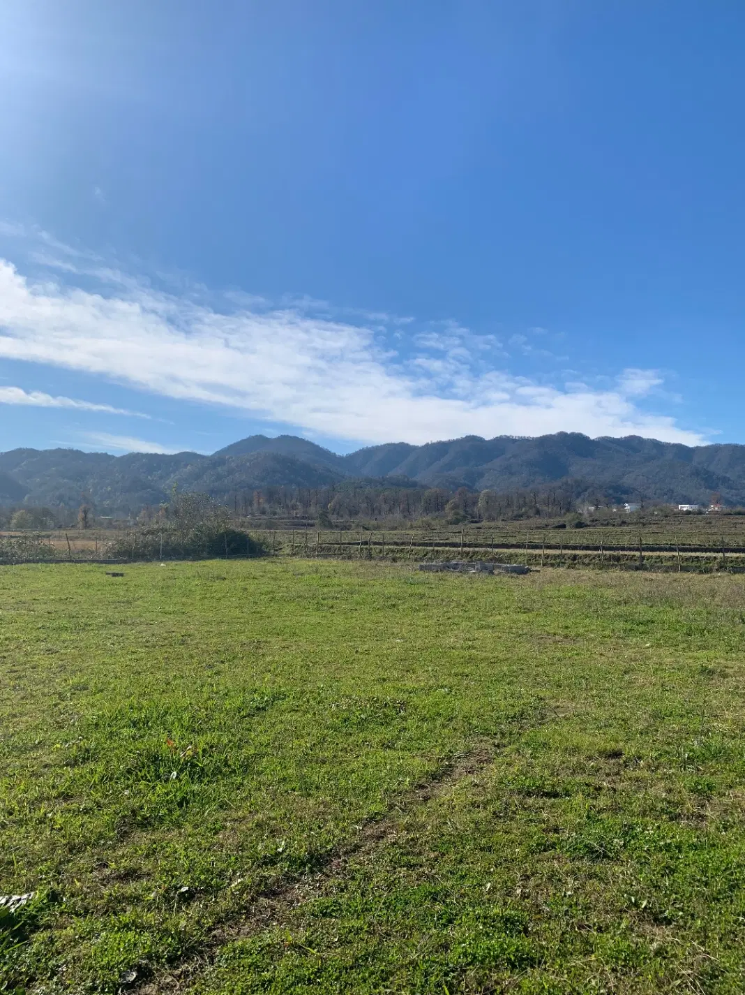 ۲۵۰متر زمین مسکونی روستایی