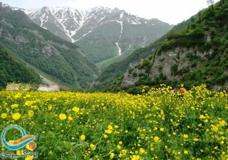 زمین شهرک کارشناسان