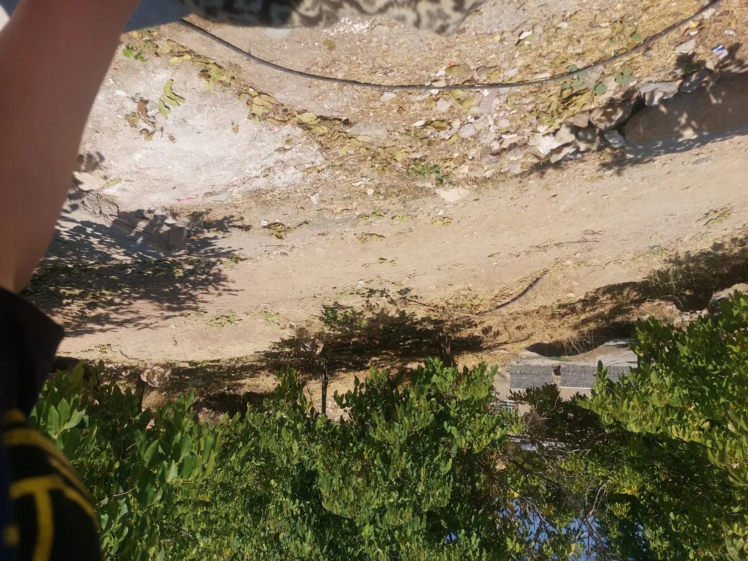 خونه باغ فروشی