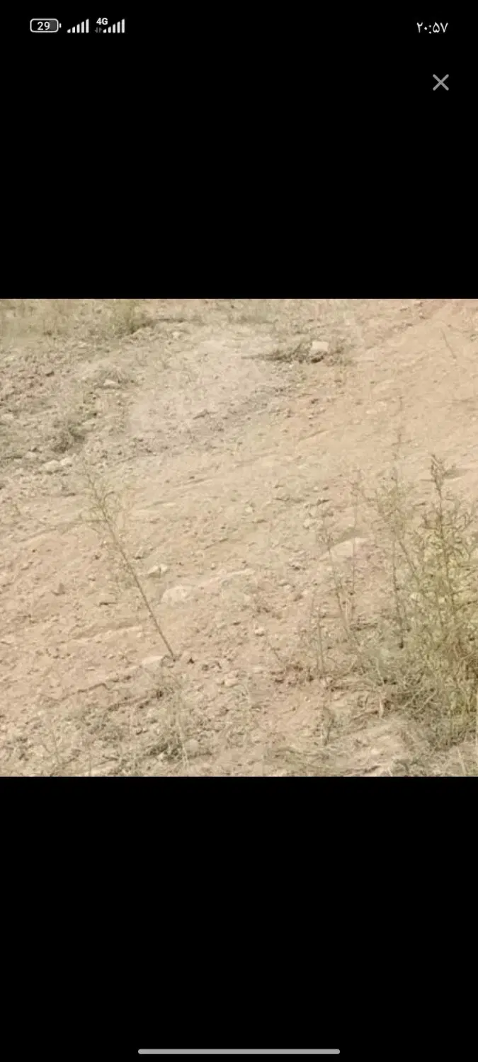 زمین 110متری خیابان صیاد اول گلند فخرآباد
