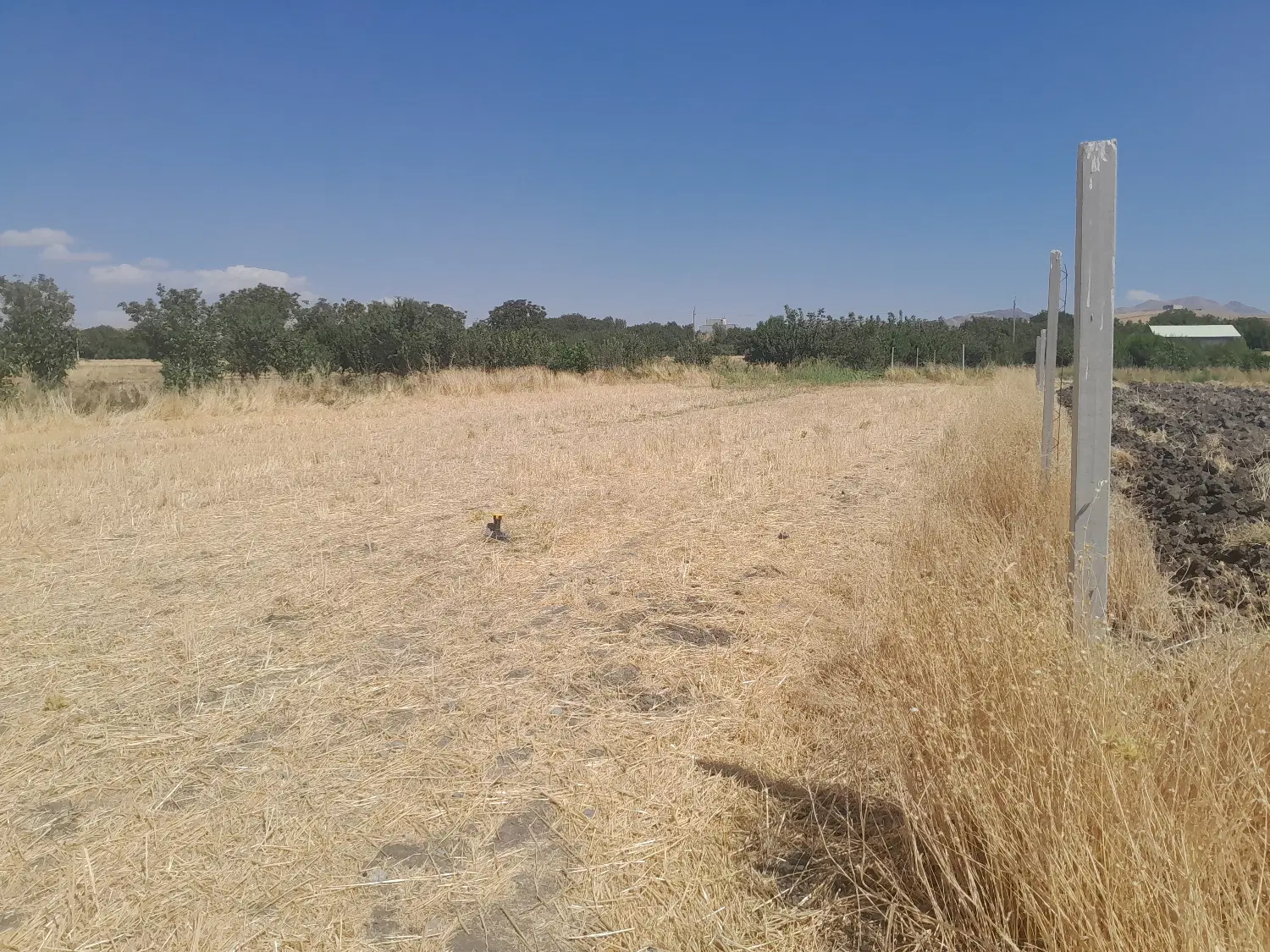 زمین کشاورزی جهت باغ