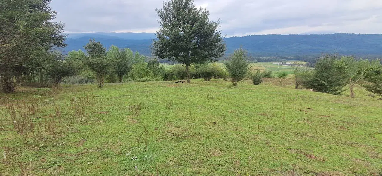 ۲۲۰۰متر زمین عالی برای کلبه سویسی