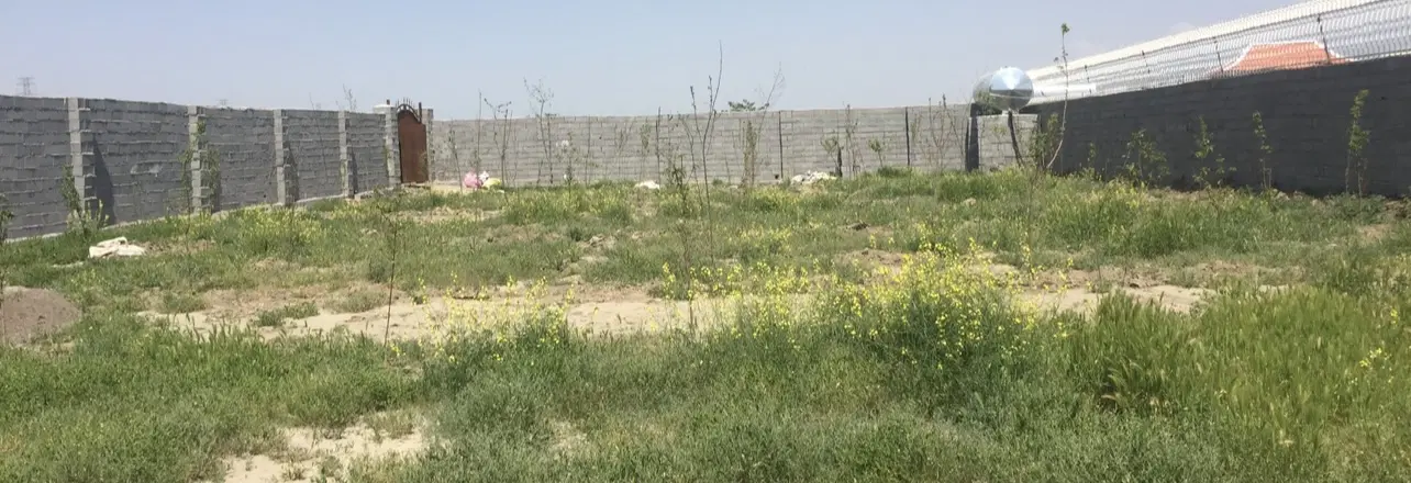 زمین دور دیوار شاهنامه 35 پول لازمم فروشنده واقعی