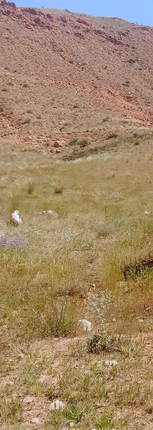زمین صنعتی