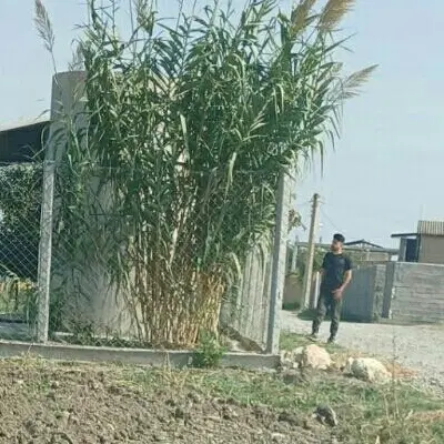 زمین فته باغ