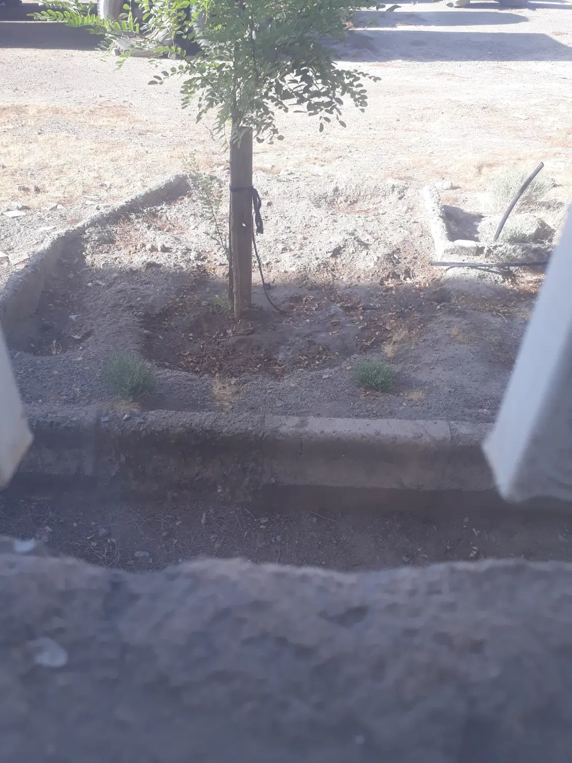 زمین ۲۰۰ متری