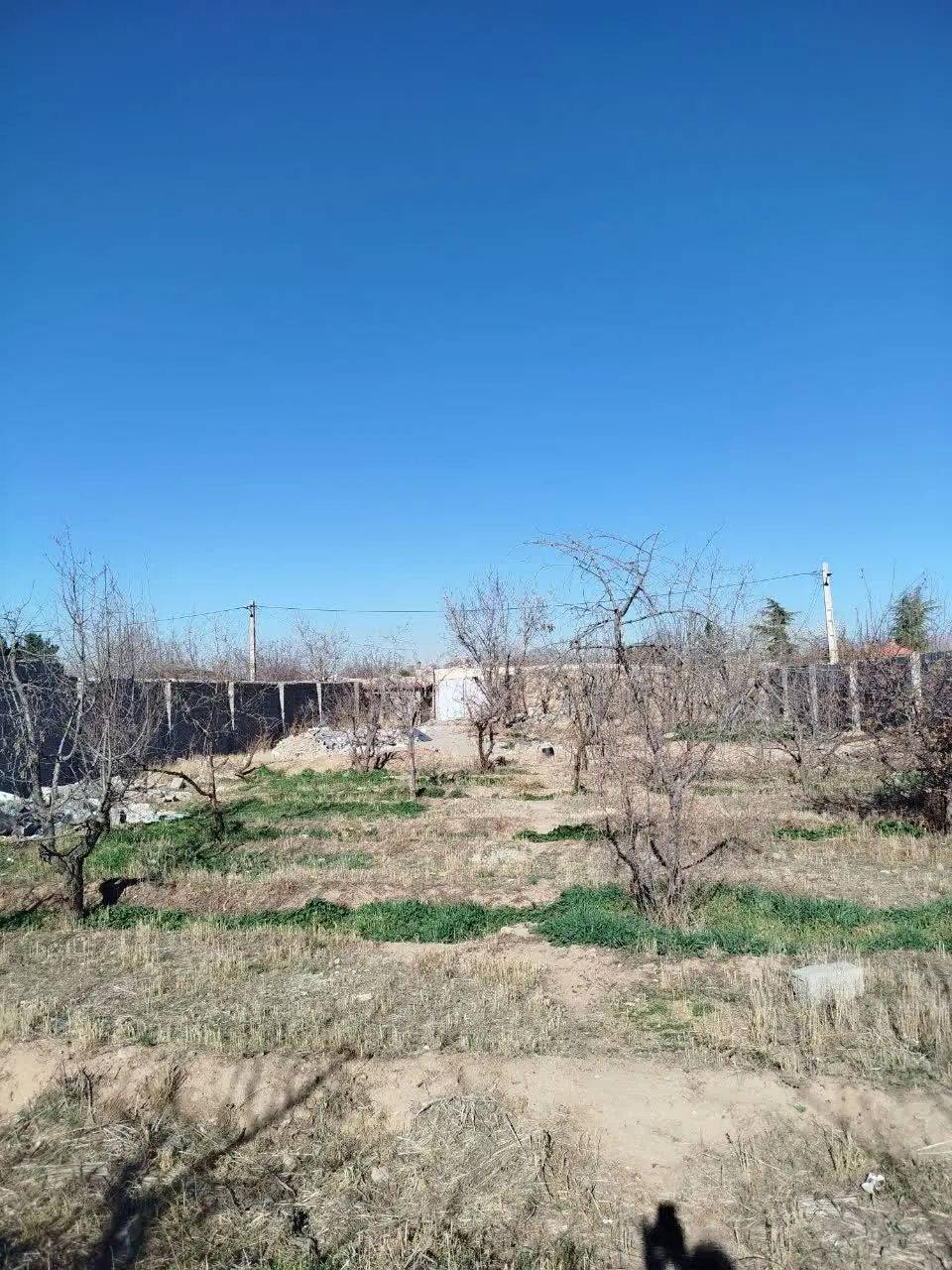 زمین باغی جهت ویلا سازی