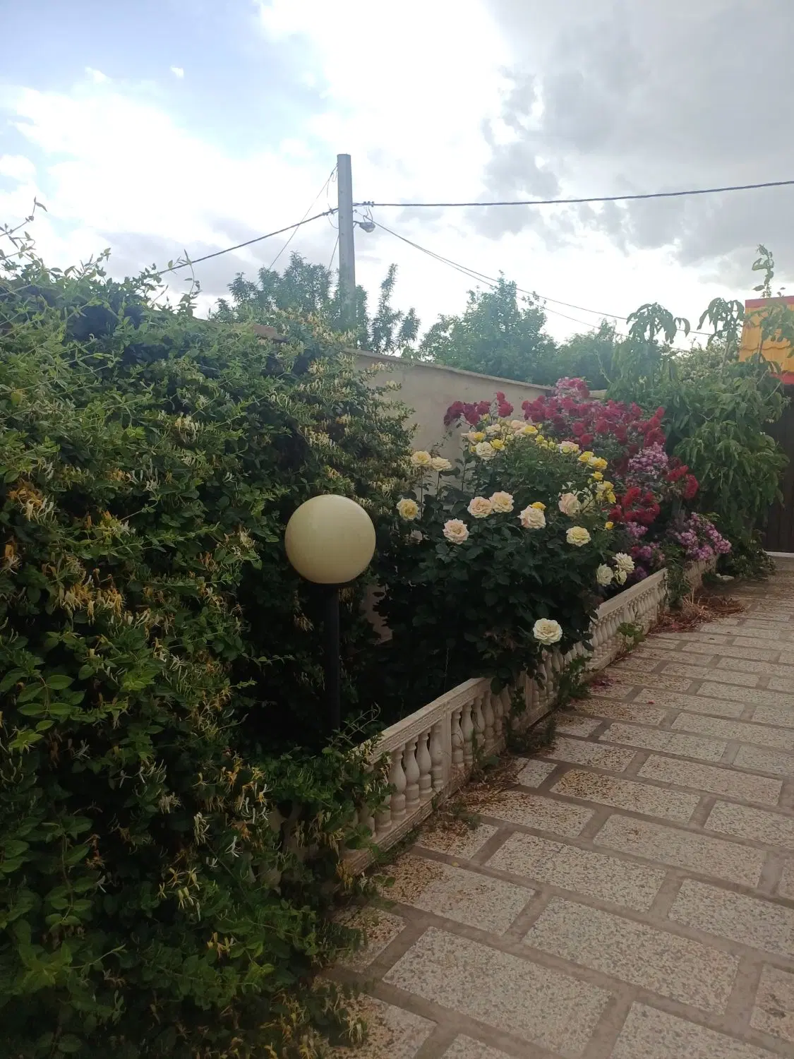باغ ویلایی به مساحت ۵۲۵متر استخر دار