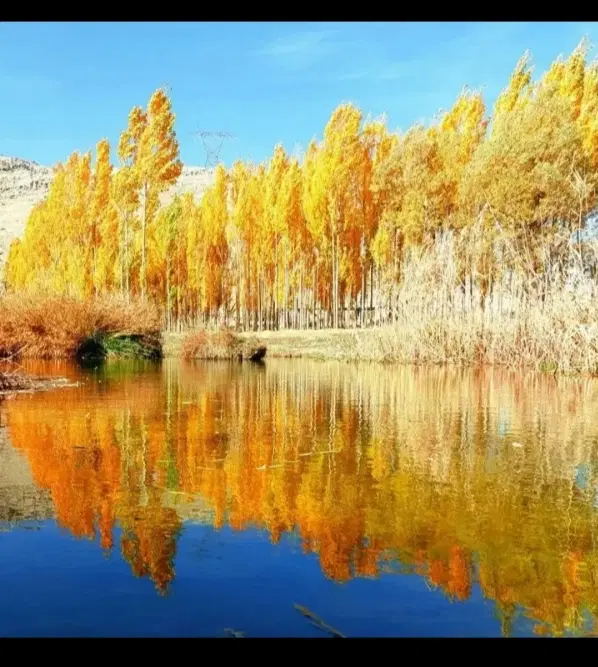 زمین کلنگی و کشاورزی