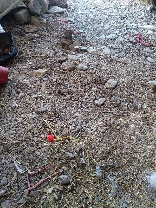 خانه باغ زمین مسکونی باغ باغچه در کیذور