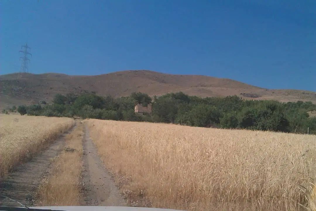 باغ و زمین