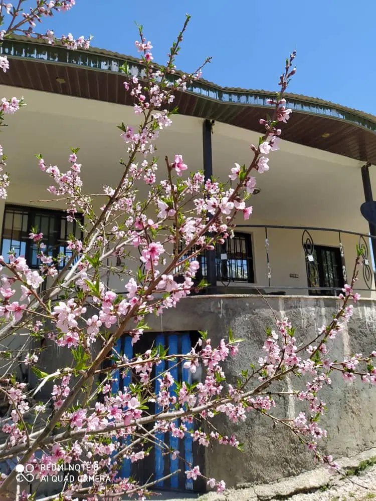 ویلا در کوهستان زیار