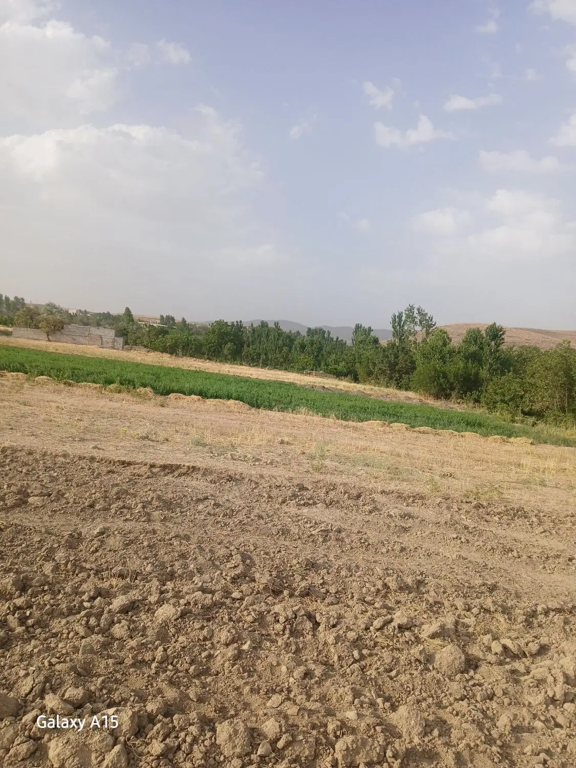 فروش دوقطعه زمین