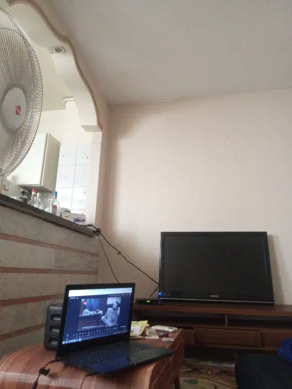 همخانه _همخونه