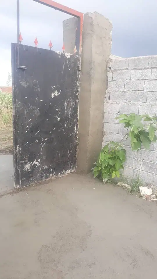 زمین دیوار کشی همراه با درباغی