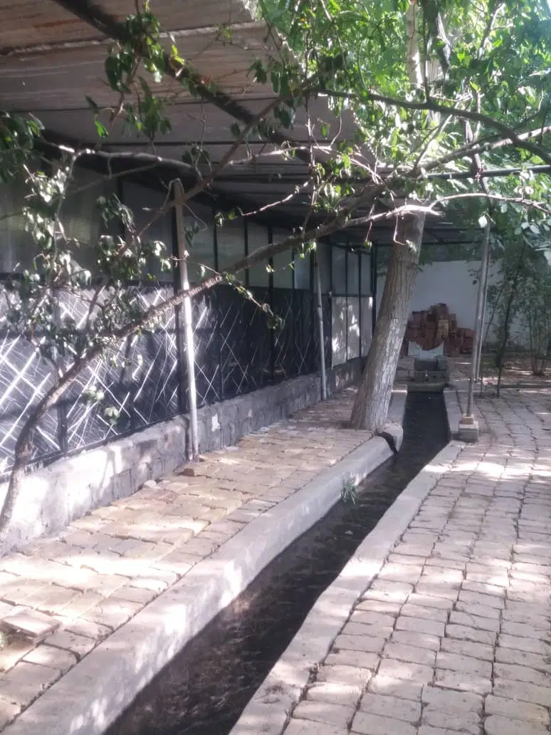 اجاره باغ