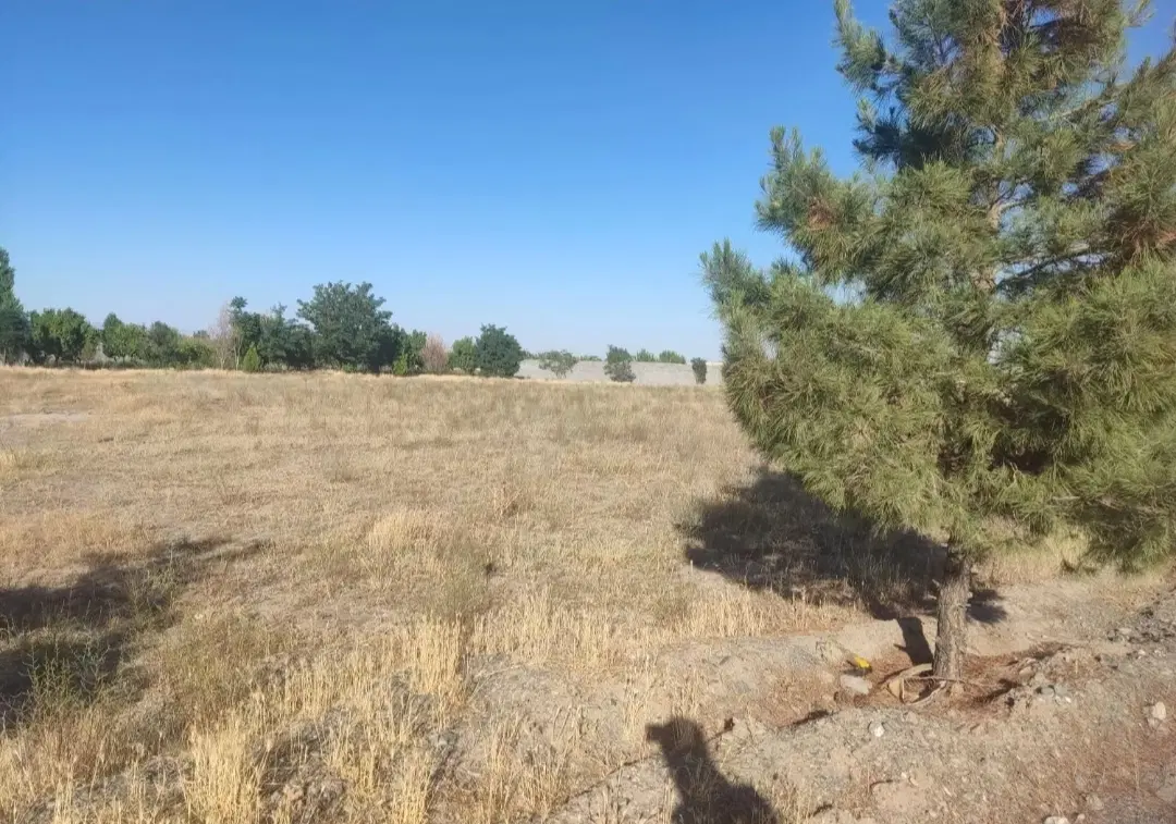 چاهشک باغستان ثامن