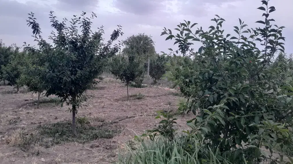 باغ ۵۰۰ متر_سهم آب_برق و گاز بر ملک_بختیار نظرآباد