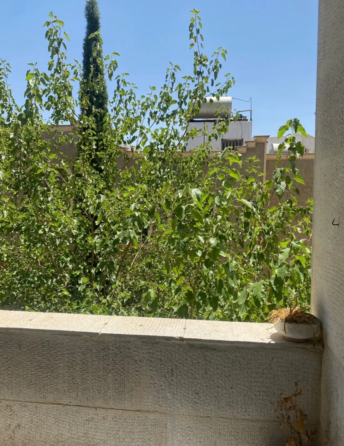 رهن و اجاره آپارتمان شیراز