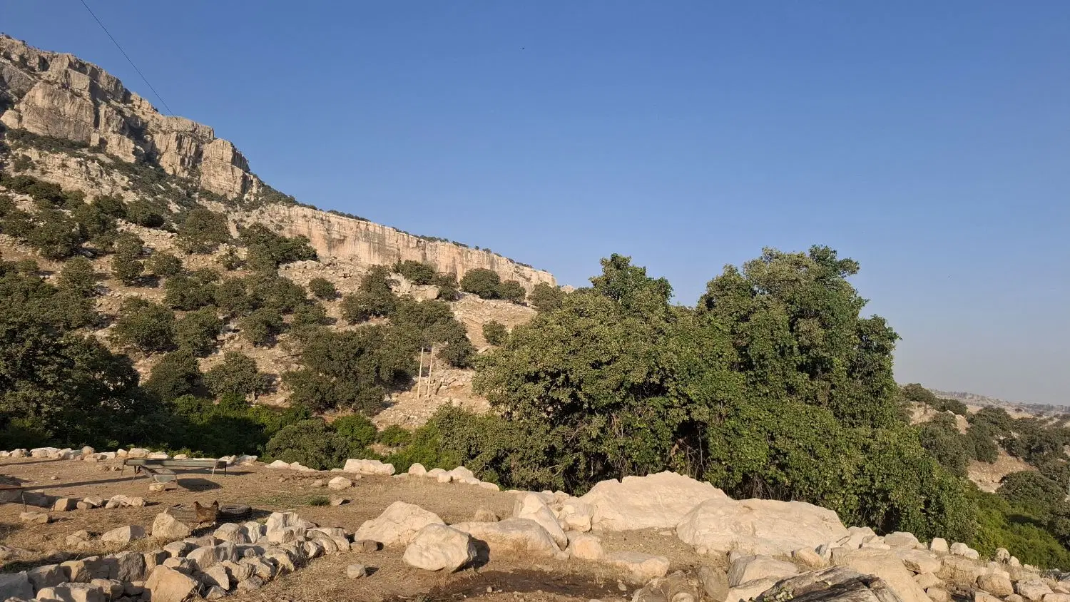 فروش زمین  کوی رسالت  جانبازان