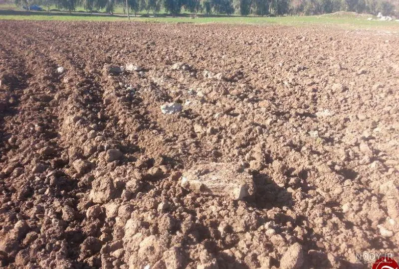 آورزمان.زمین کشاورزی . روستای آورزمان