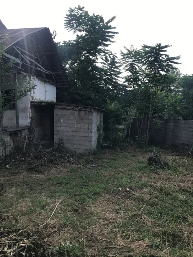 خونه کلنگی جنگلی باانشعابات سند تک برگ