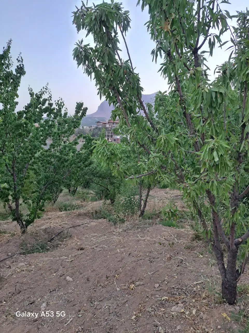 زمین کشاورزی درشهرک توریستی