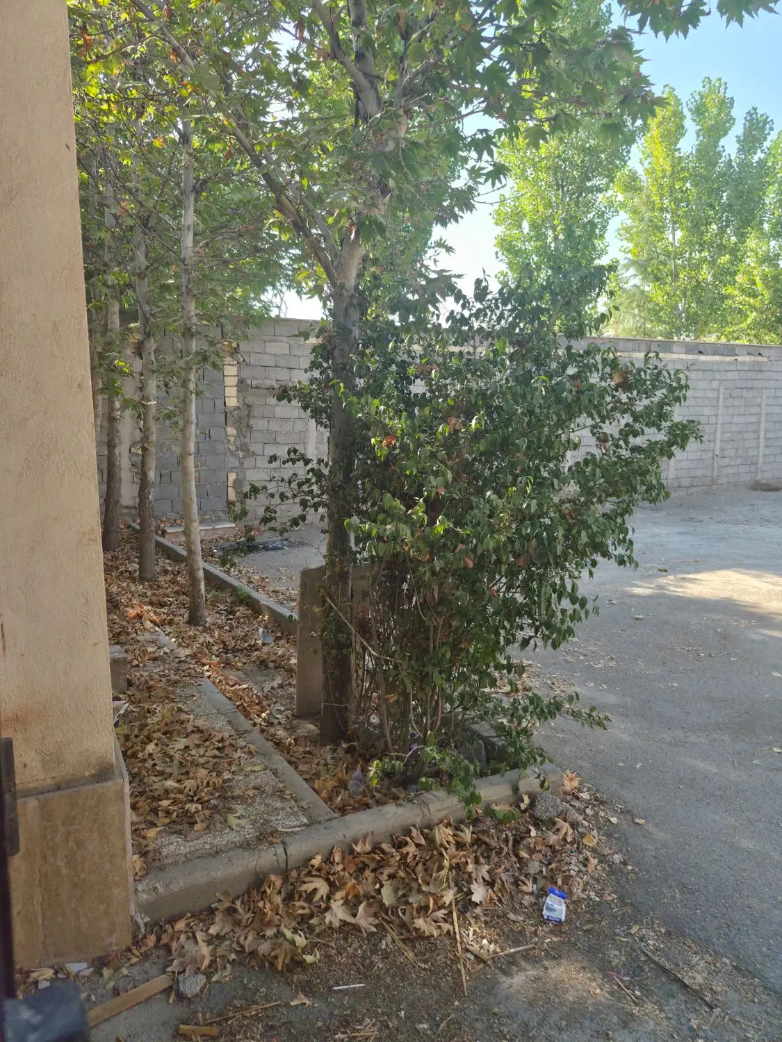 زمین ۱۰۰۰ متری با سند ۶ دانگ