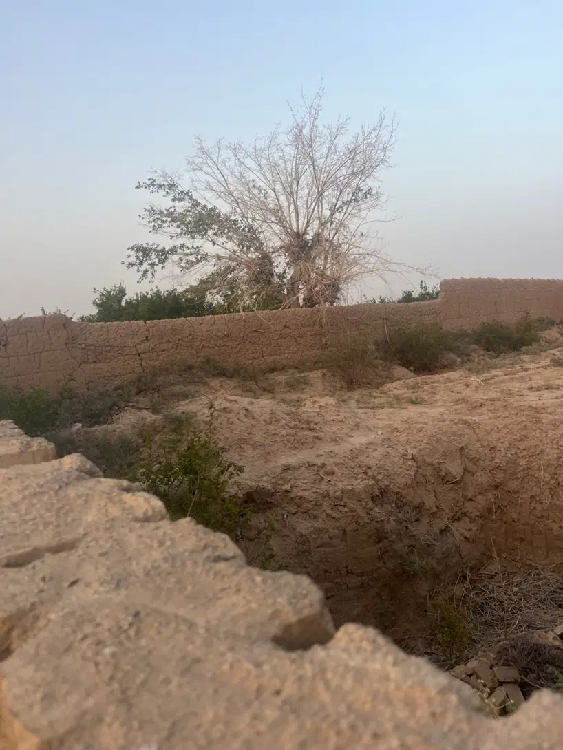 زمین با آب چاه فهرج